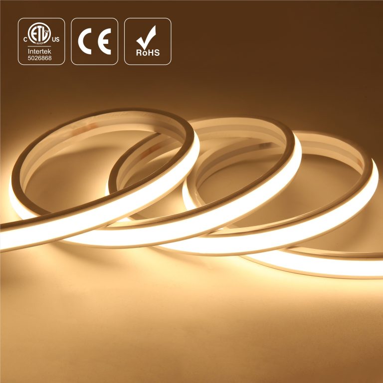 COB2216W288-220V12 3