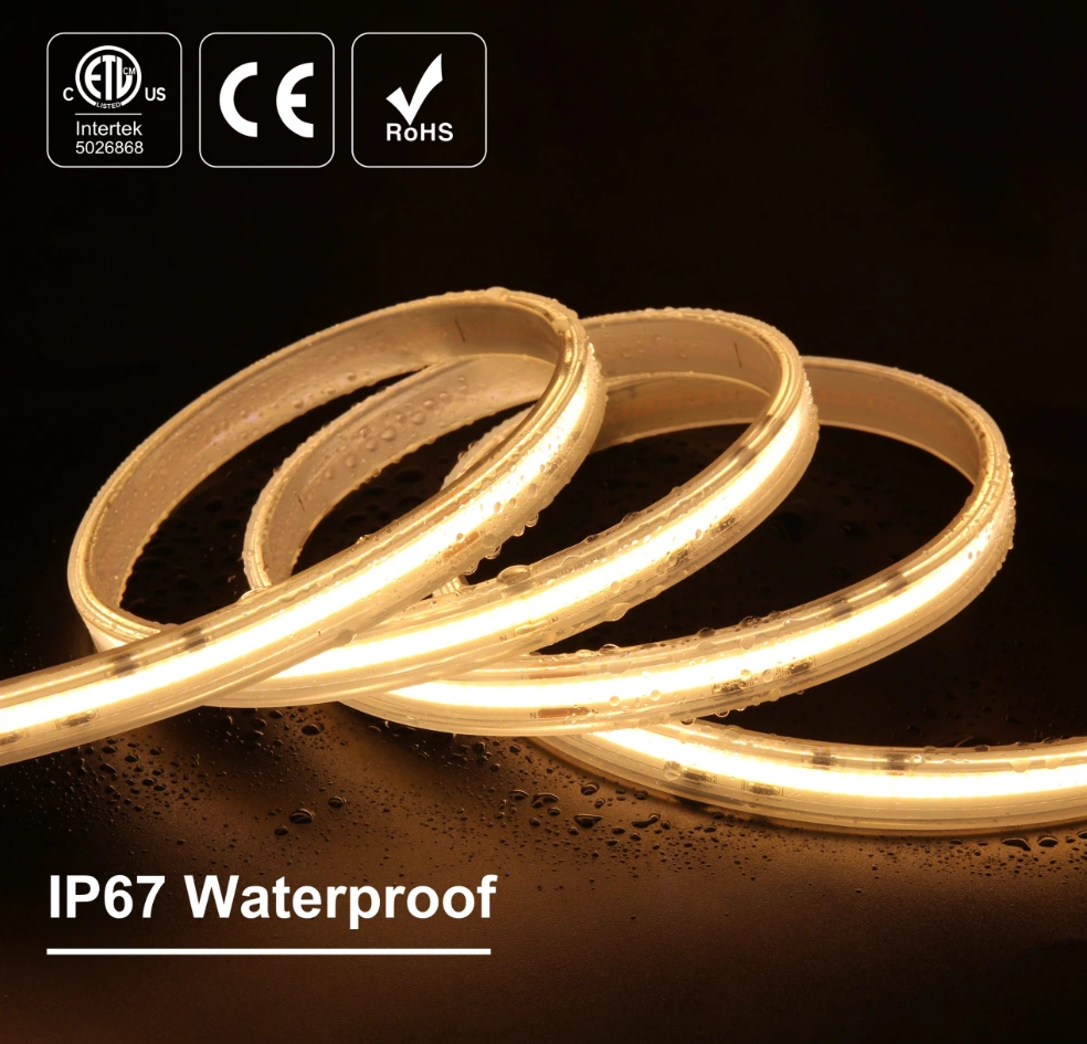 COB High Voltage Strip