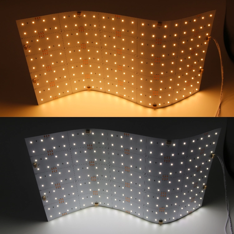Raymates Flexible LED Sheet